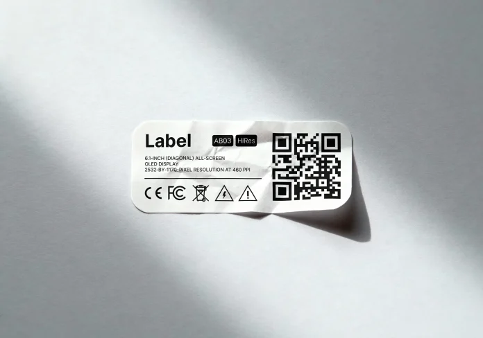 portfolio-2